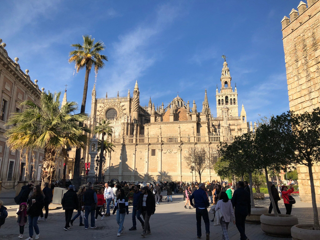 Tours By Locals-塞维利亚必去景点