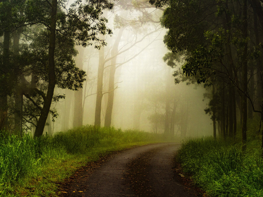 Mount Buninyong-Buninyong必去景点