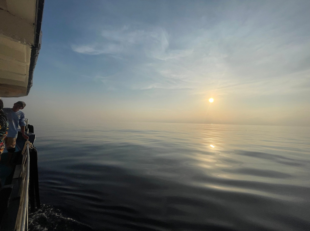 Big Blue Tech-涛岛必去景点