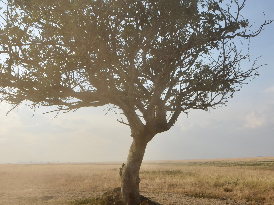 Tour with Kunta-阿鲁沙必去景点