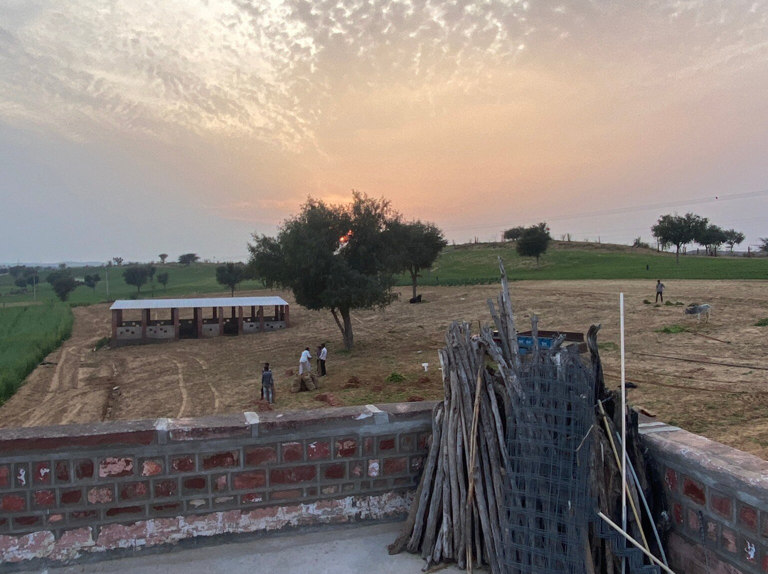 Gangaram osian village home stay景点图片