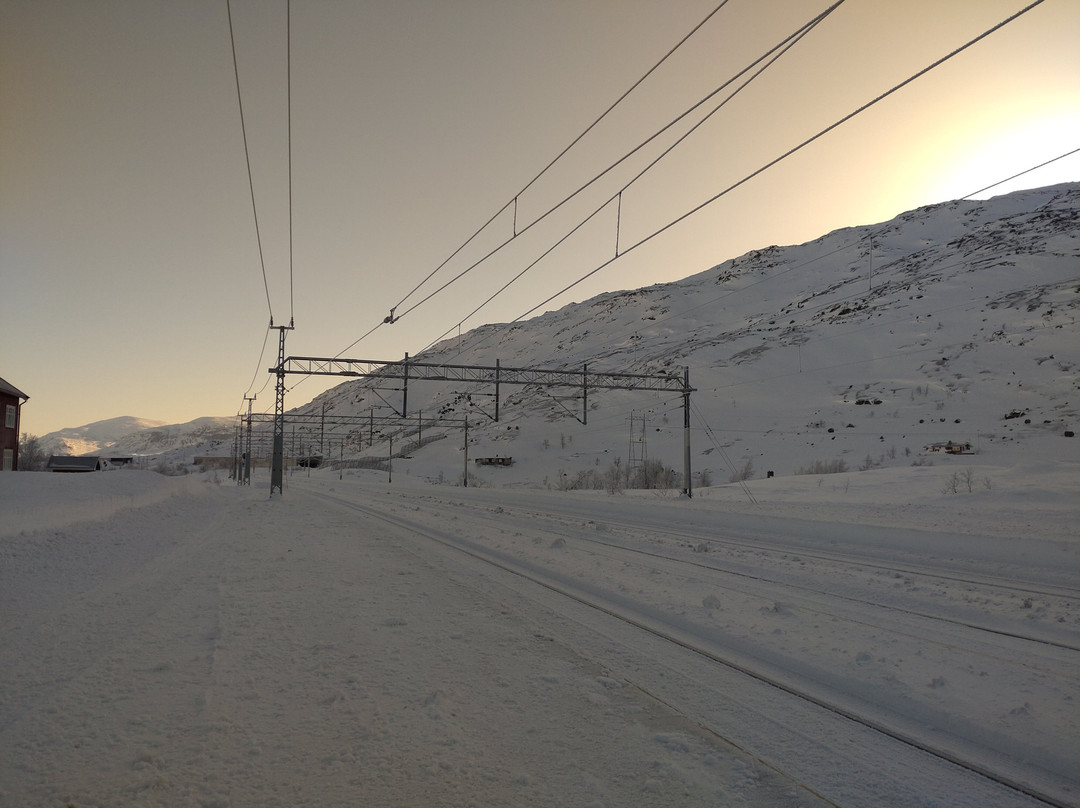 Arctic Train景点图片