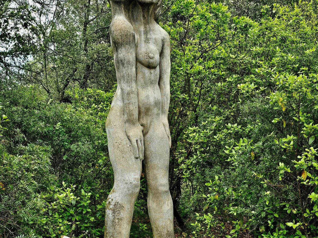 Bosc de Can Ginebreda景点图片