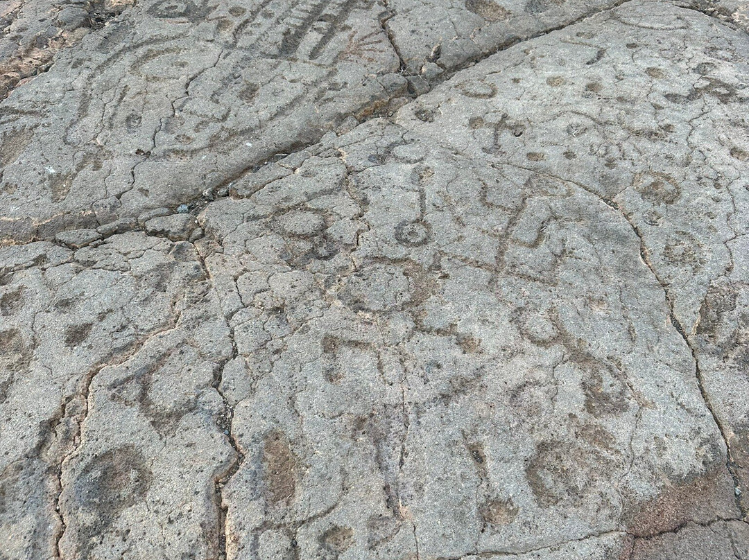 Waikoloa Petroglyph Preserve景点图片