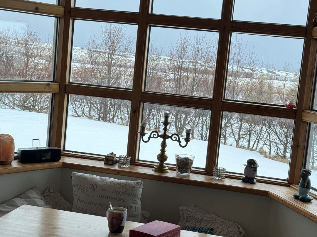 Yogihorse Iceland-Hofsos必去景点