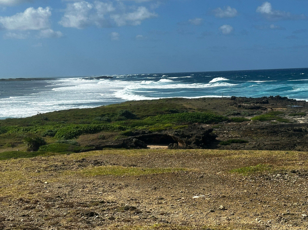 Hello Mauritius-蓝湾必去景点