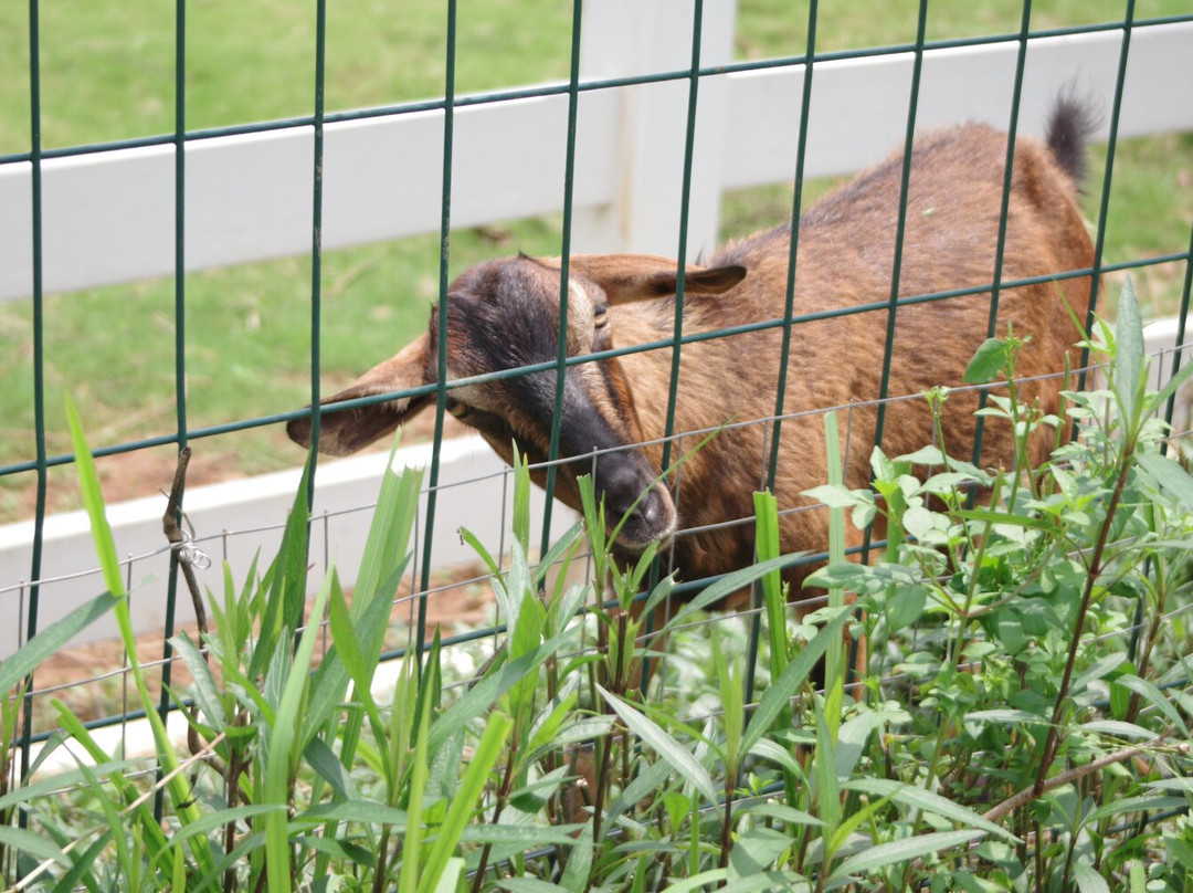 Fenglin Jiulong Town-英德市必去景点