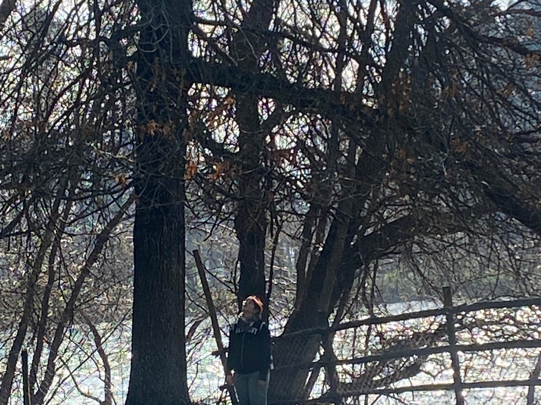 Hotel Salto del Laja主图