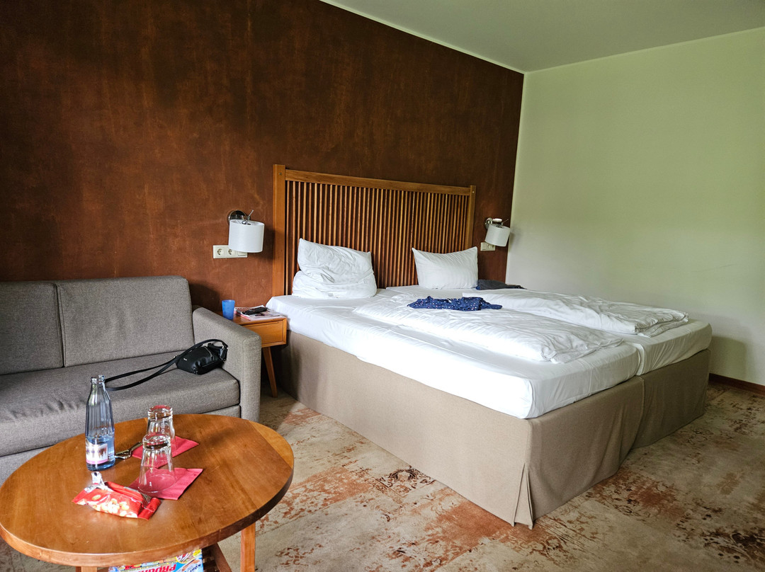 Design Hotel Viktoria主图