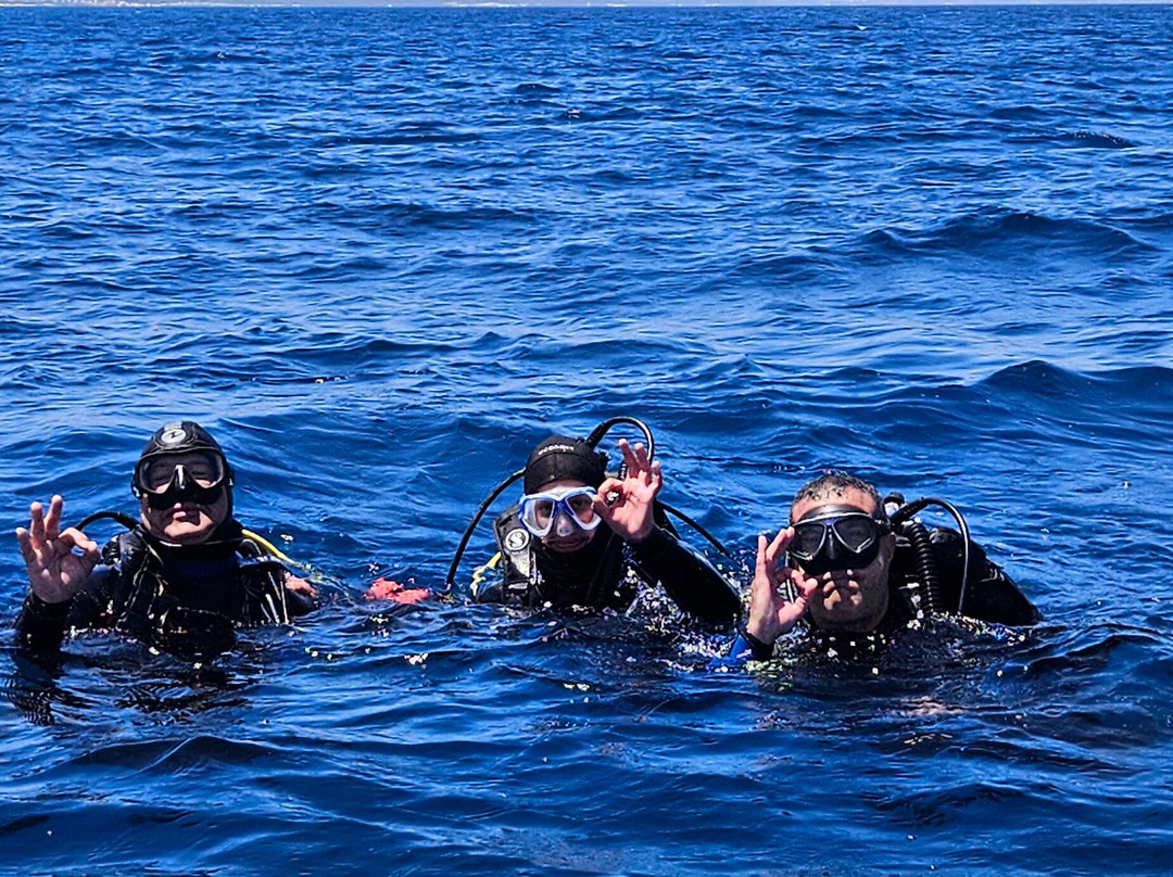 Mouja Diving Club