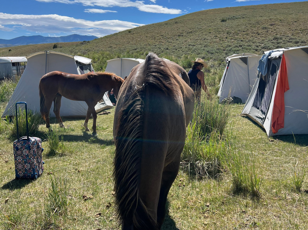 Silver Spur Ranch Idaho景点图片