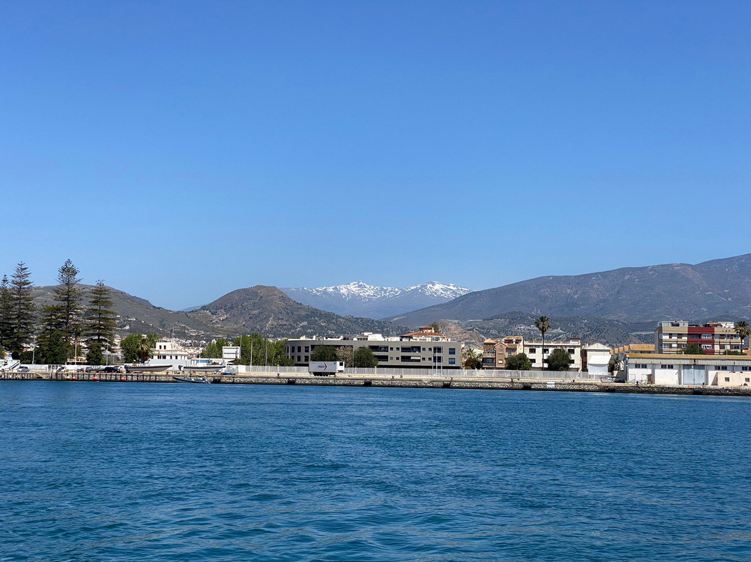 Sam Sea Trips-Calahonda必去景点