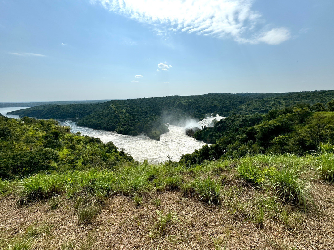 Waterfall Cruises - Murchison Falls景点图片