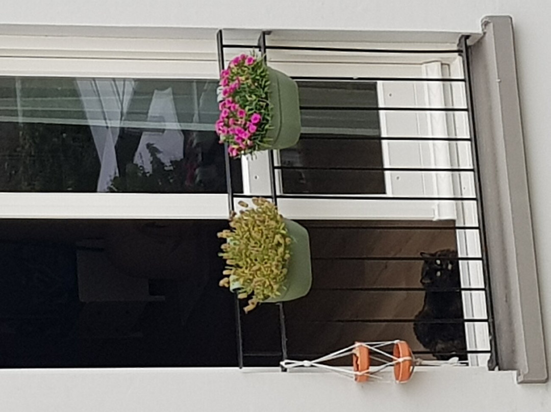 Hotel In Het Huis Van Deventer主图
