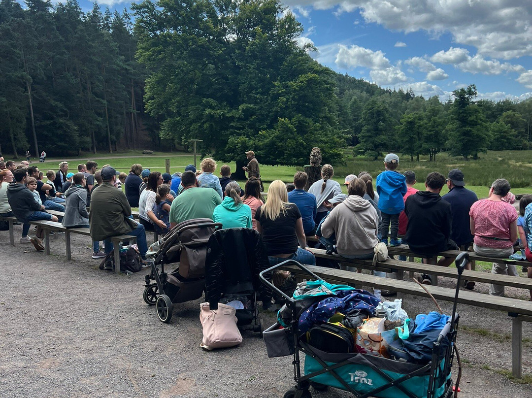 Kurpfalz-Park Wachenheim景点图片