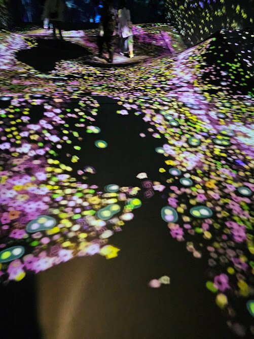 teamLab Forest景点图片