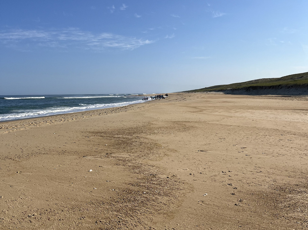 Moliets Surf Center景点图片