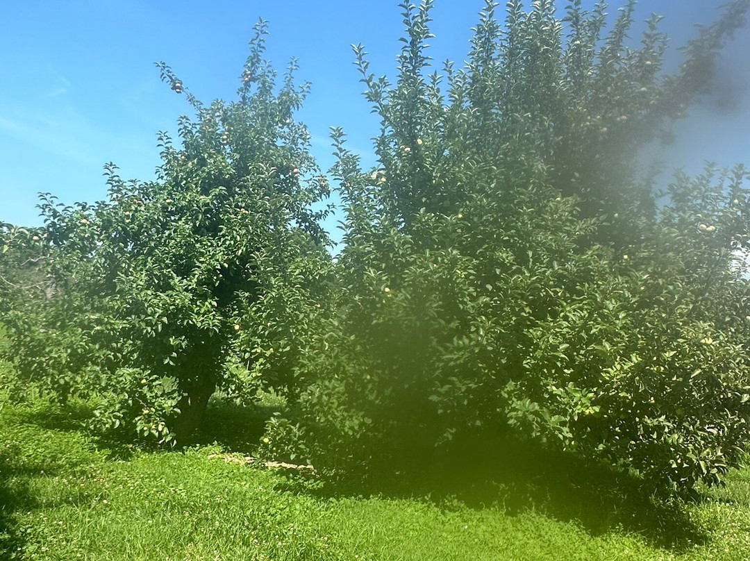 Angry Orchard-Walden必去景点