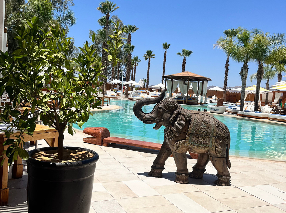 Nikki Beach Marrakech景点图片