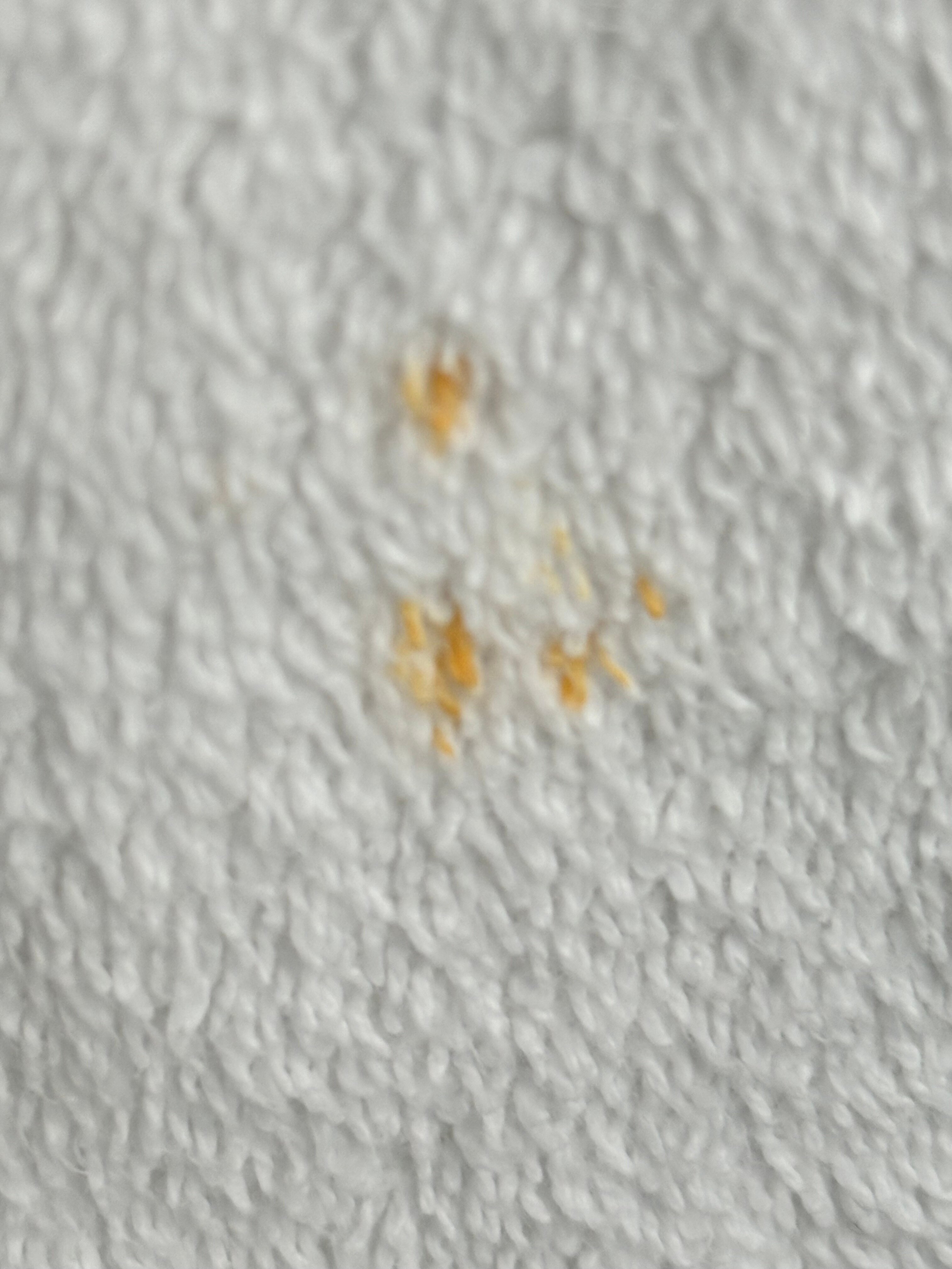 康福特茵拉姆斯盖特酒店-浴室
