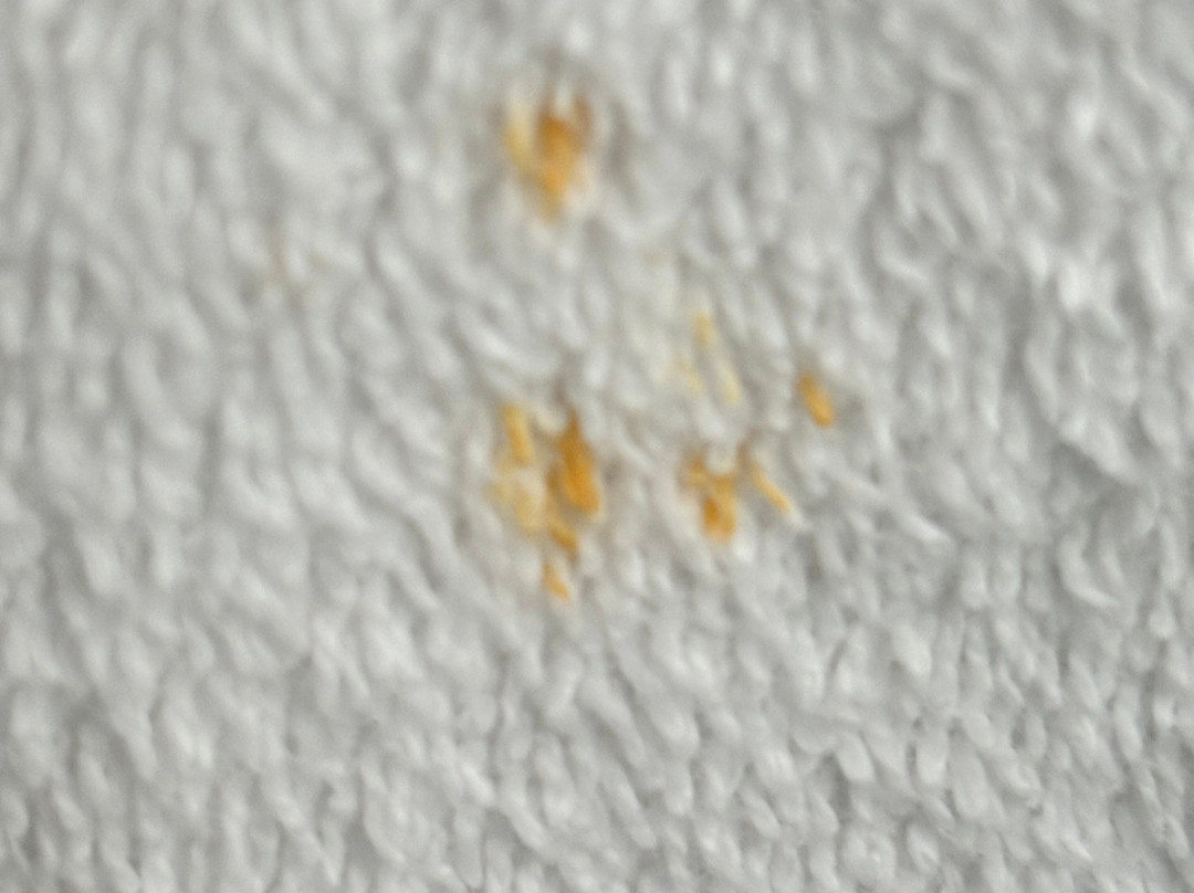 康福特茵拉姆斯盖特酒店主图