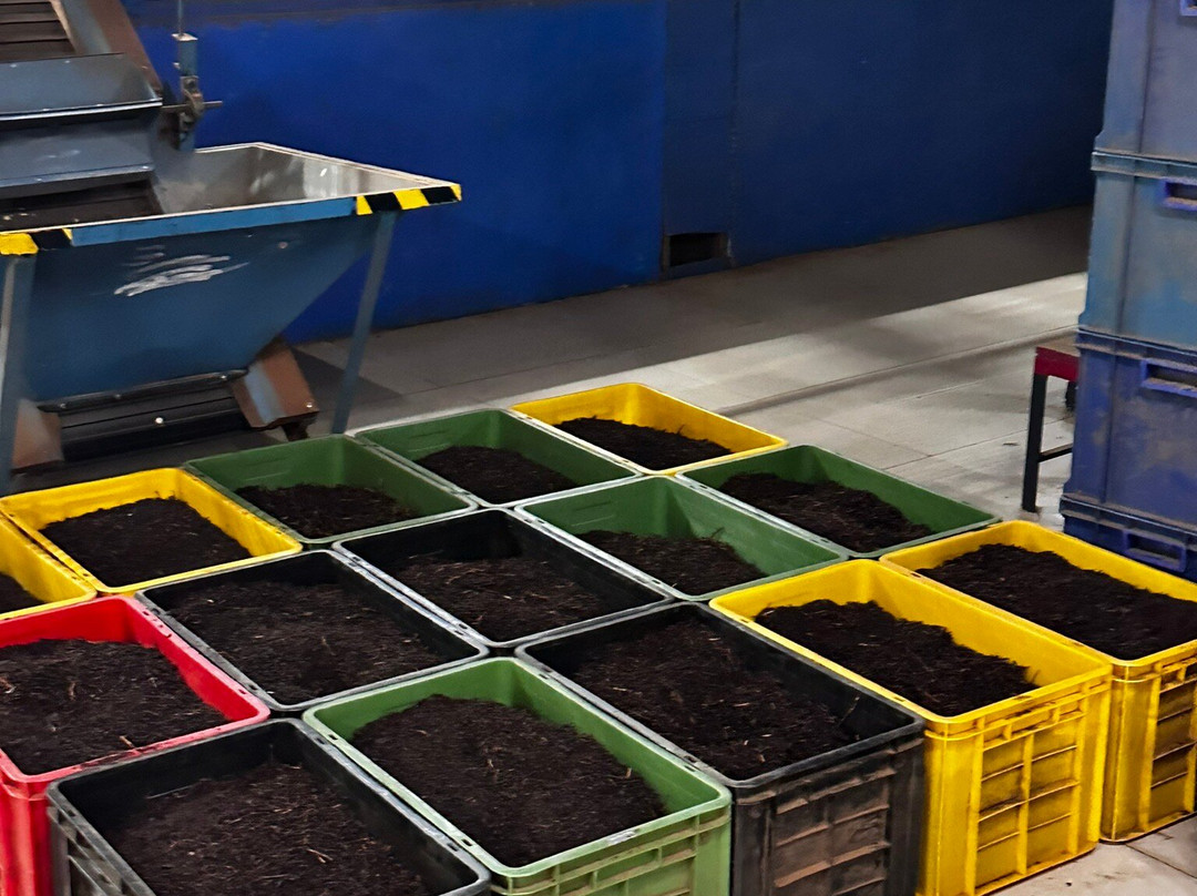 Blue Field Tea Factory-拉马伯达必去景点