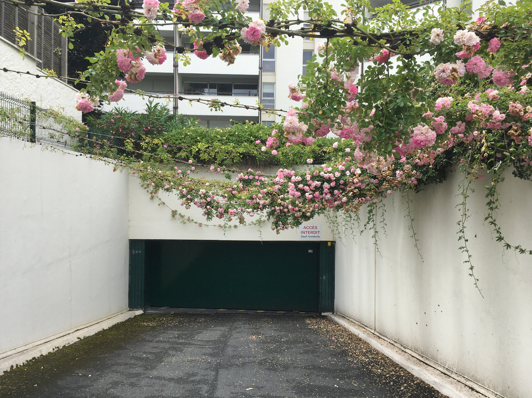 C'est Une Maison Bleue主图