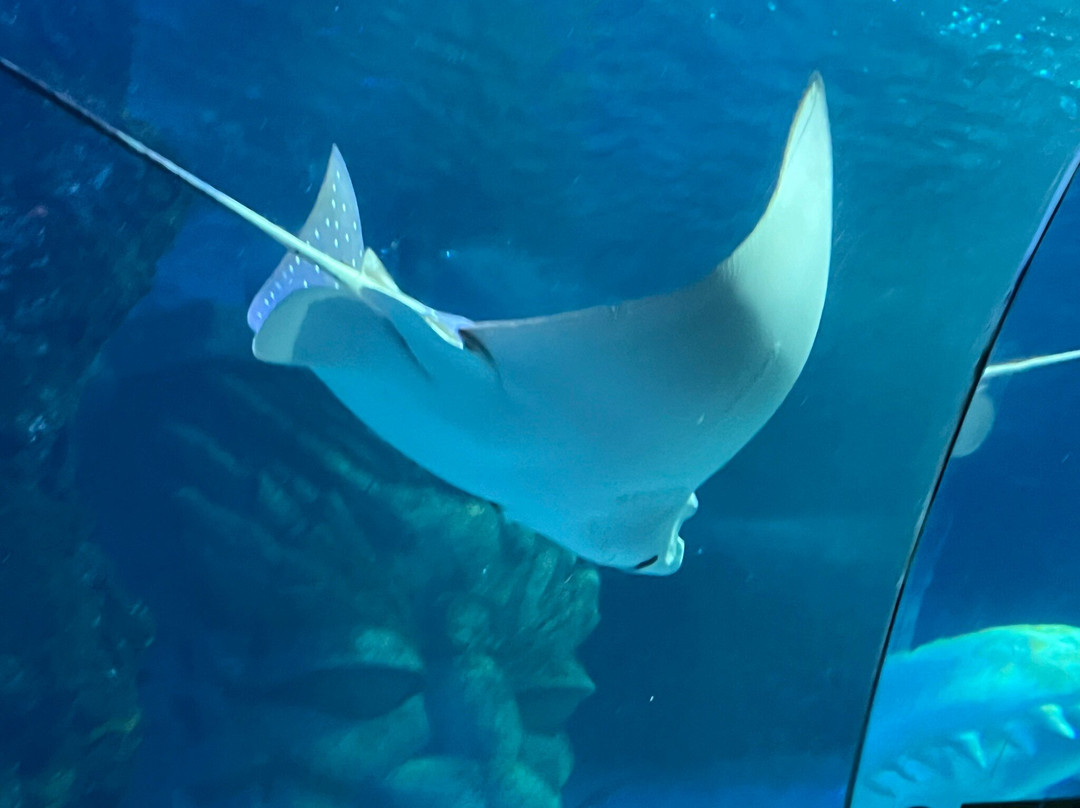 沈阳中街大悦城购物中心-沈阳市必去景点