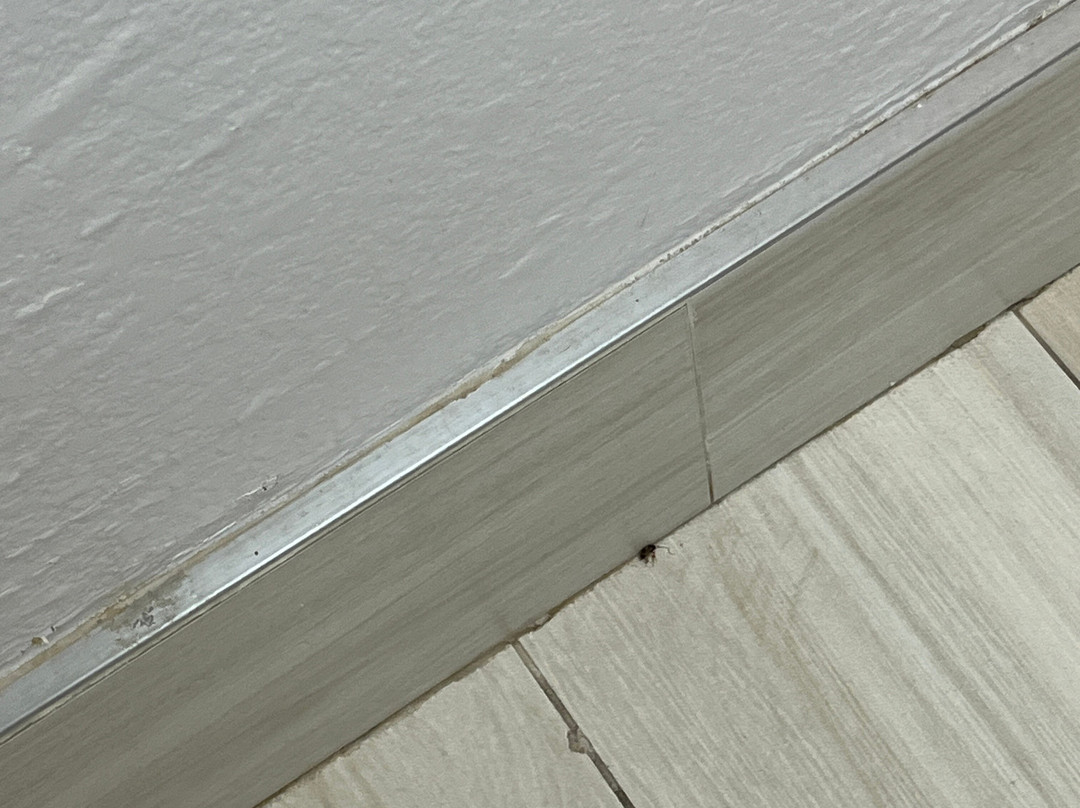 图莱利拉金塔旅馆及套房酒店主图