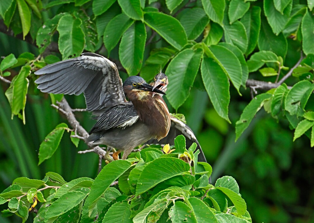 Eagle Ridge Resort & Spa主图