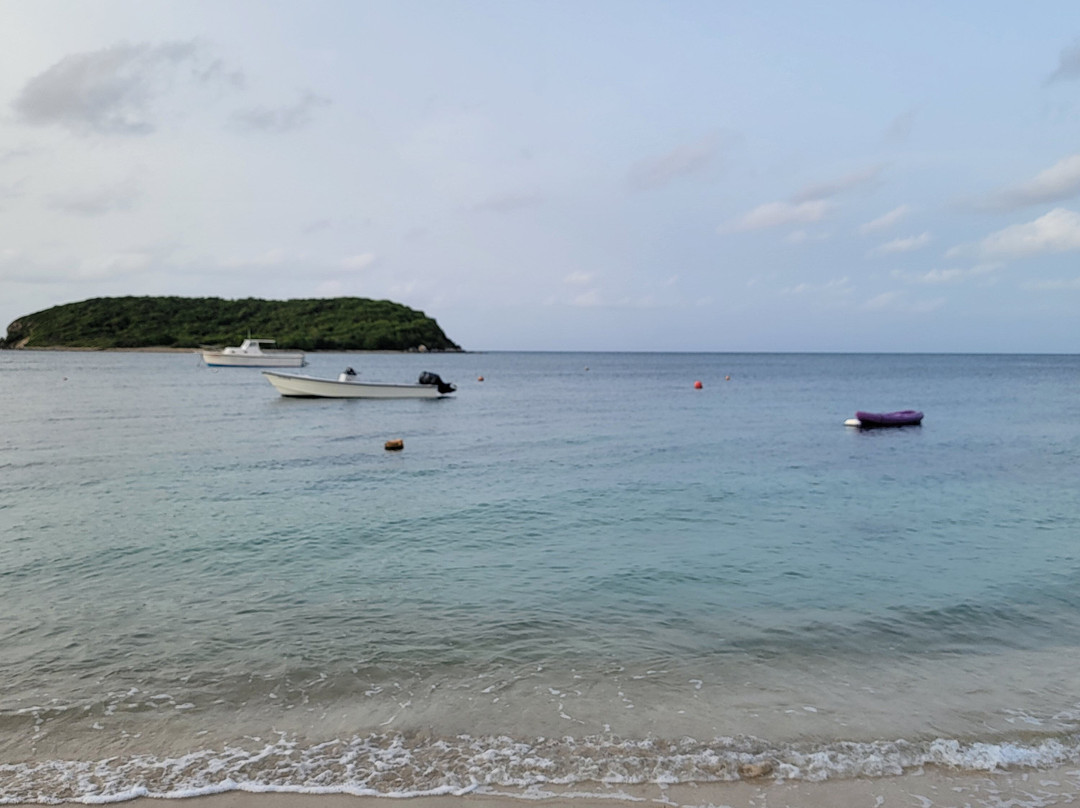Ceiba Ferry Terminal景点图片