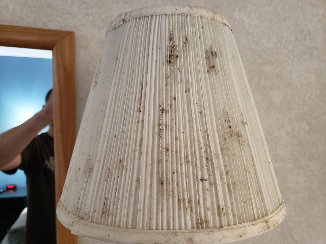 Schmidt's Creek Hotel主图