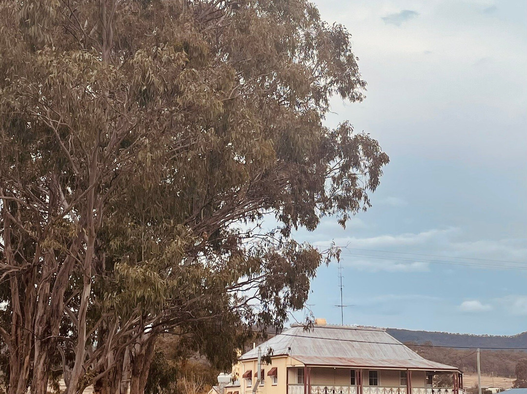 Maryvale Crown Hotel主图