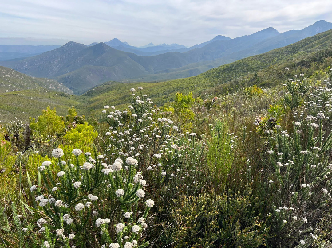 Robinson Pass-奥兹洪必去景点