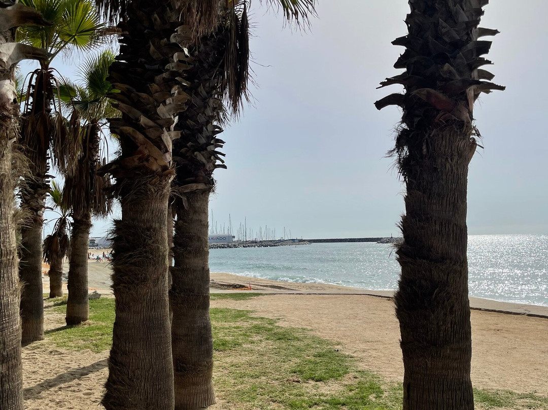 Ajuntament de Premià de Mar-Premia de Mar必去景点