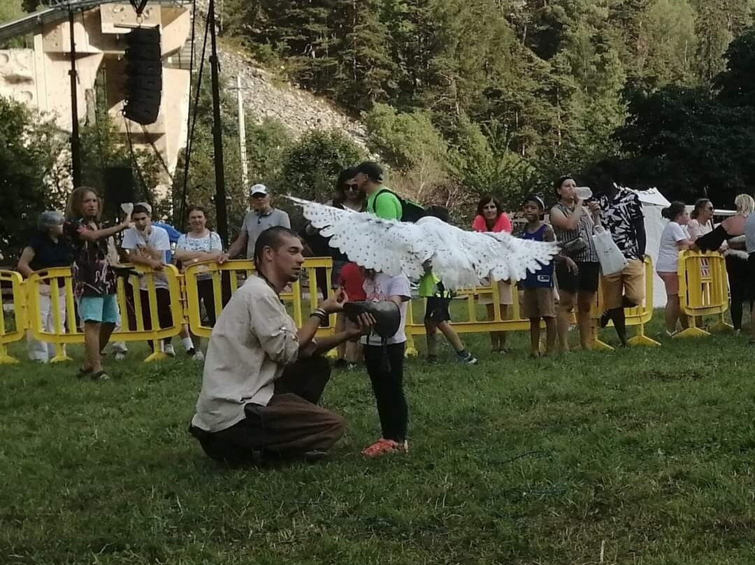 Centro di Falconeria Messaggeri Alati景点图片