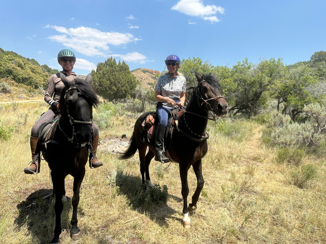 Wind in your Hair Riding-Wanship必去景点
