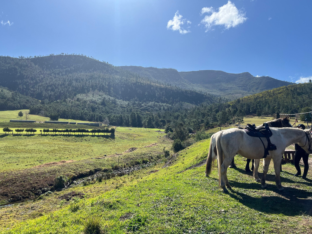 Kurland Park Horse Trails-普利登堡湾必去景点