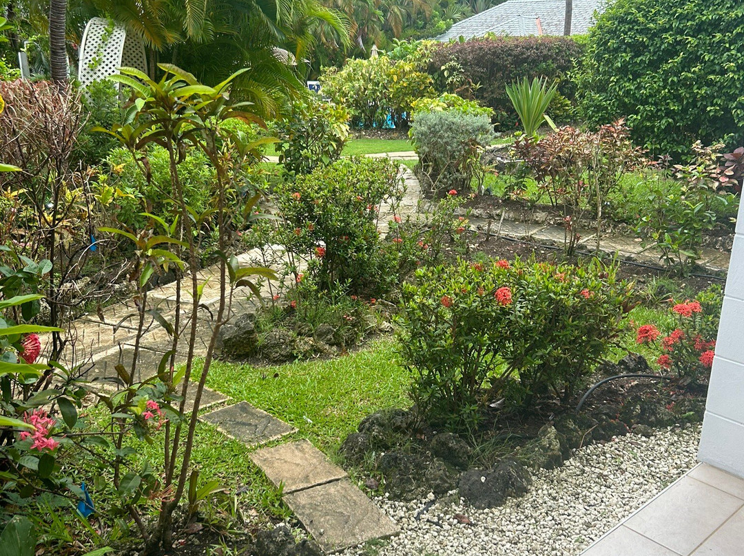 Shades Holiday Apartments主图