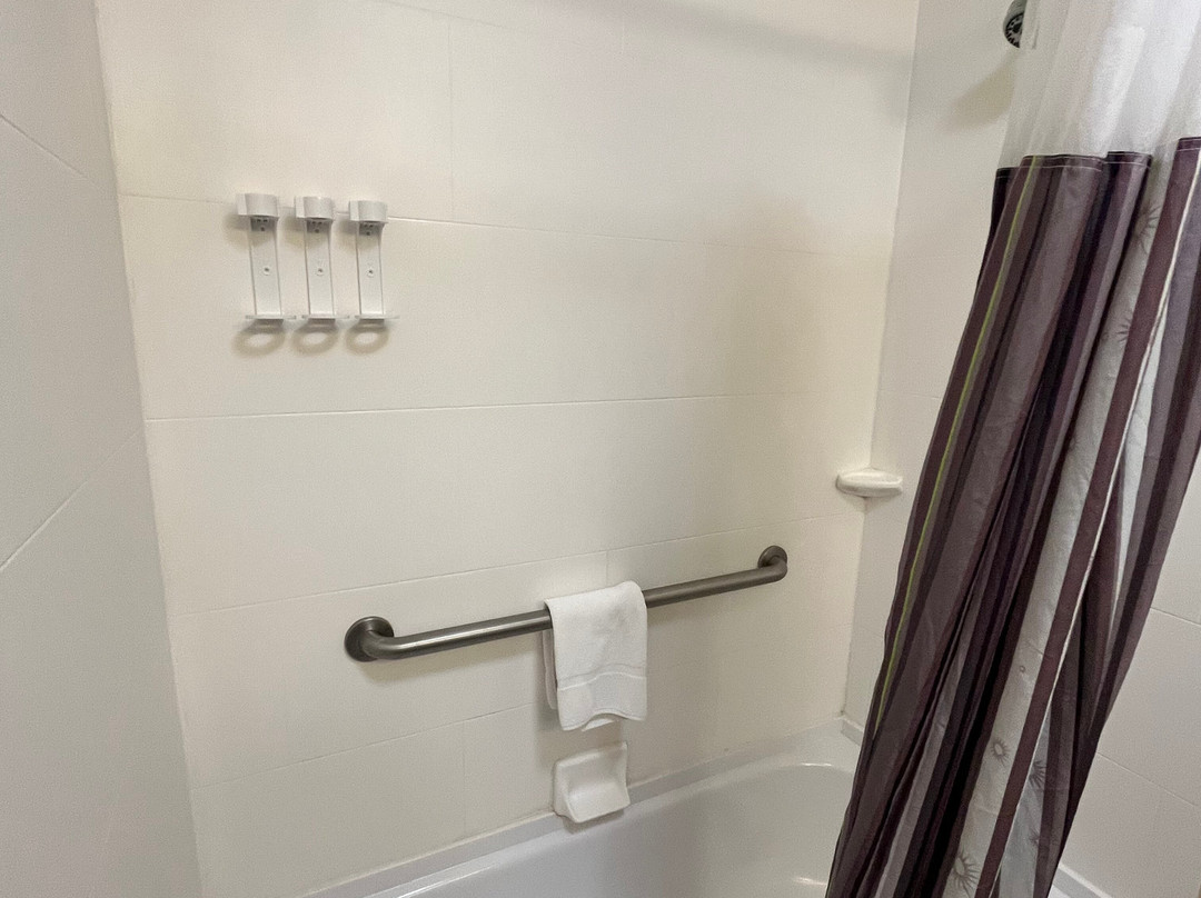 La Quinta Inn & Suites by Wyndham Carlsbad主图