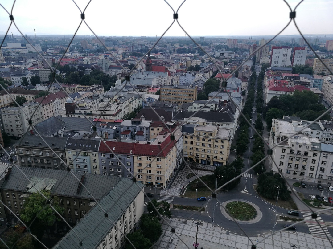 New City Hall Viewing Tower景点图片