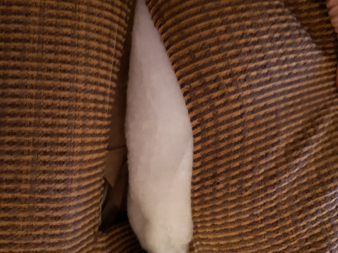 Quality Inn & Suites Goldendale主图