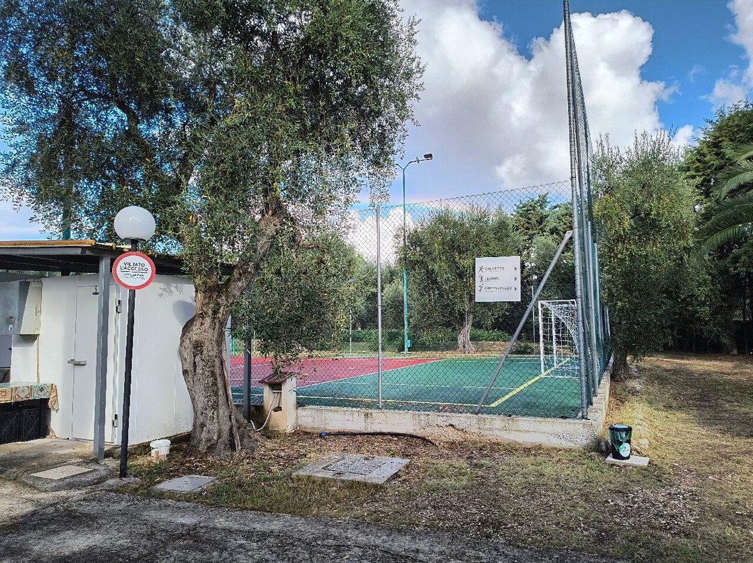 Hotel Palme Gemelle主图