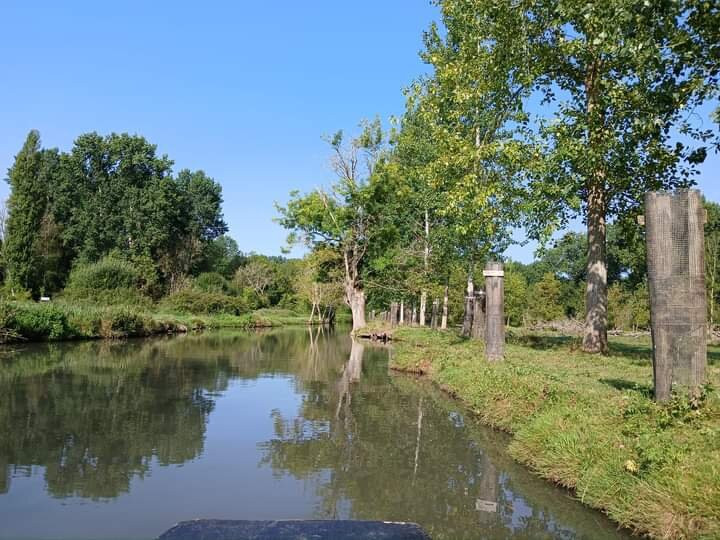 Embarcadere Cardinaud - Marais poitevin景点图片