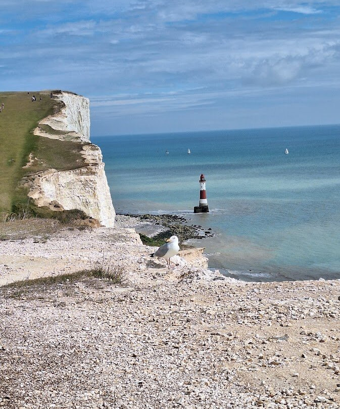 South Downs National Park景点图片