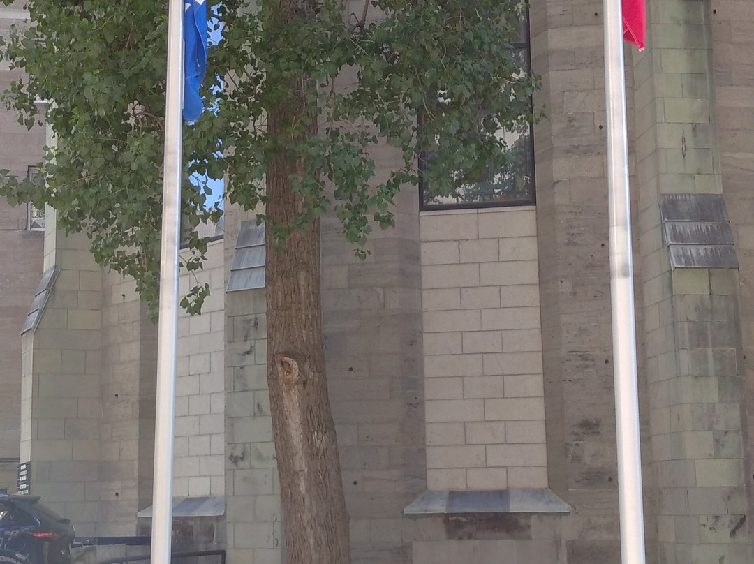 St. Patrick's Basilica-蒙特利尔必去景点