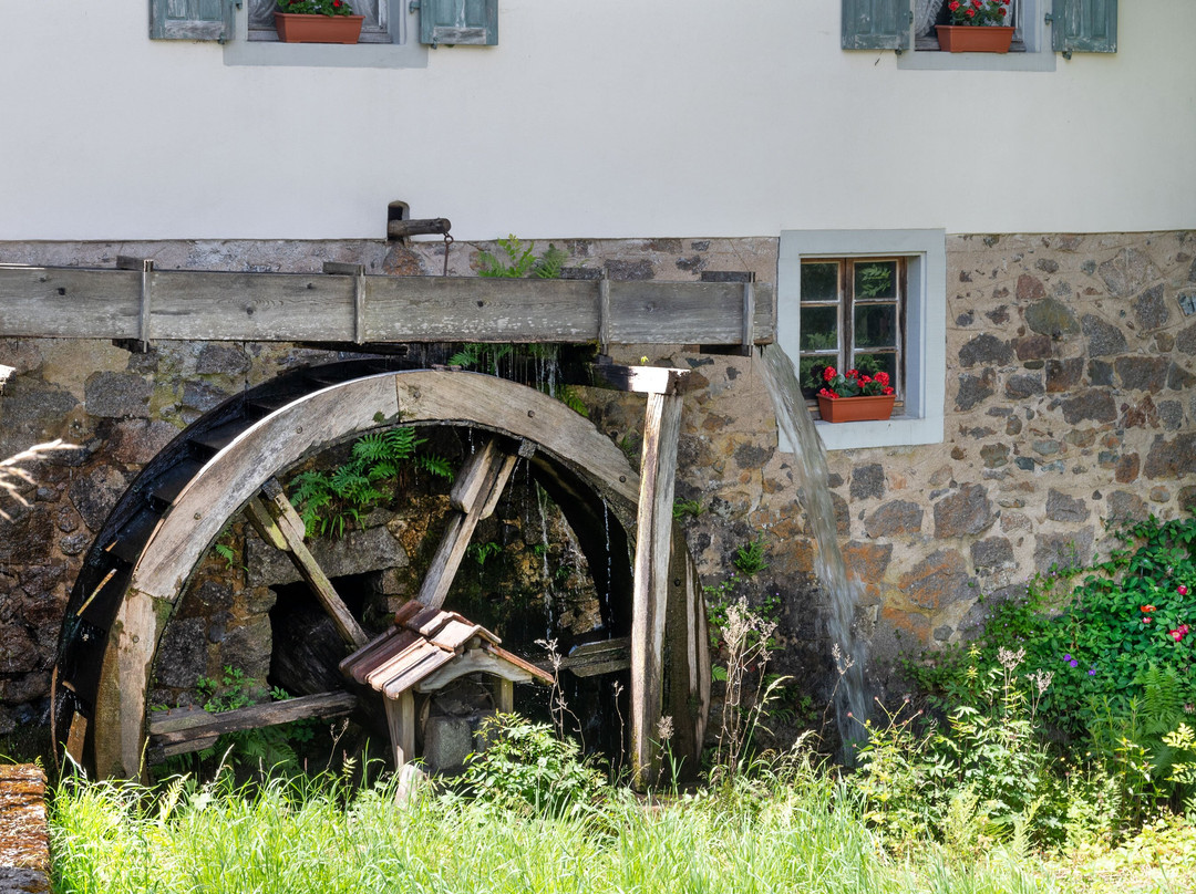 Autour du Moulin de Storckensohn-Storckensohn必去景点