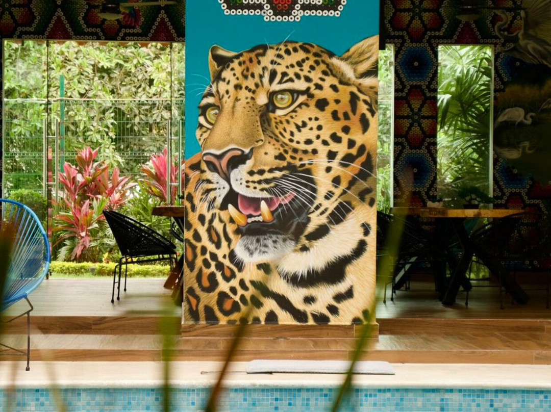 Hotel Riviera Sayulita主图