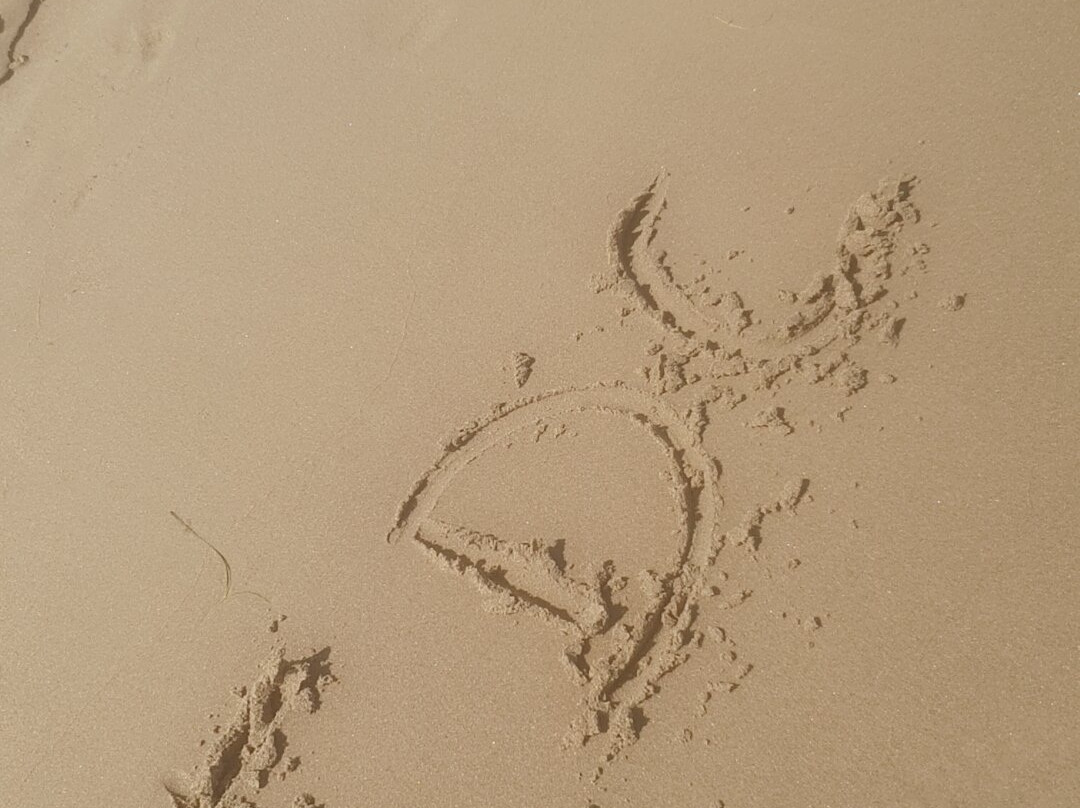 Playa El Moncoyo景点图片