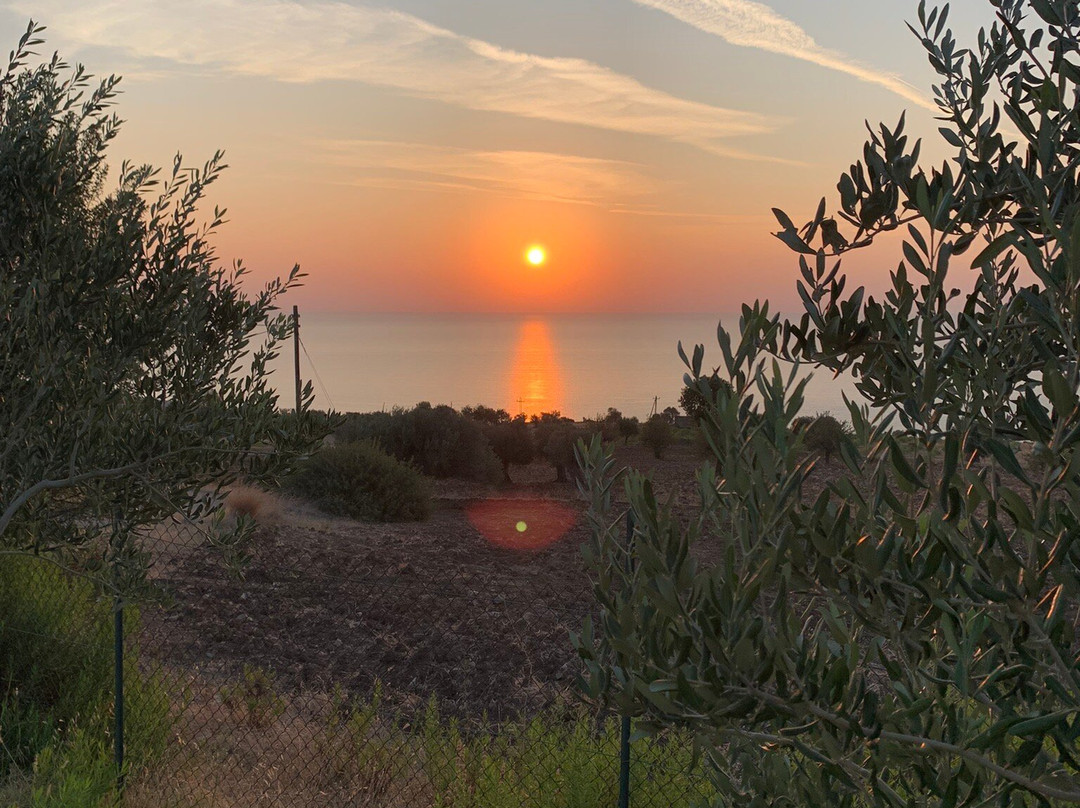 Bed & Breakfast Villa Sveva主图